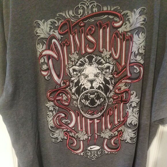 Nike T Shirt LeBron James Lion Special Edition Dri Fit Gray XL - Picture 7 of 10